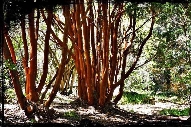 10 Secrets of Bariloche, Nahuel Huapi, and Patagonia - A 90-minute Bariloche reset, on easy walking streets