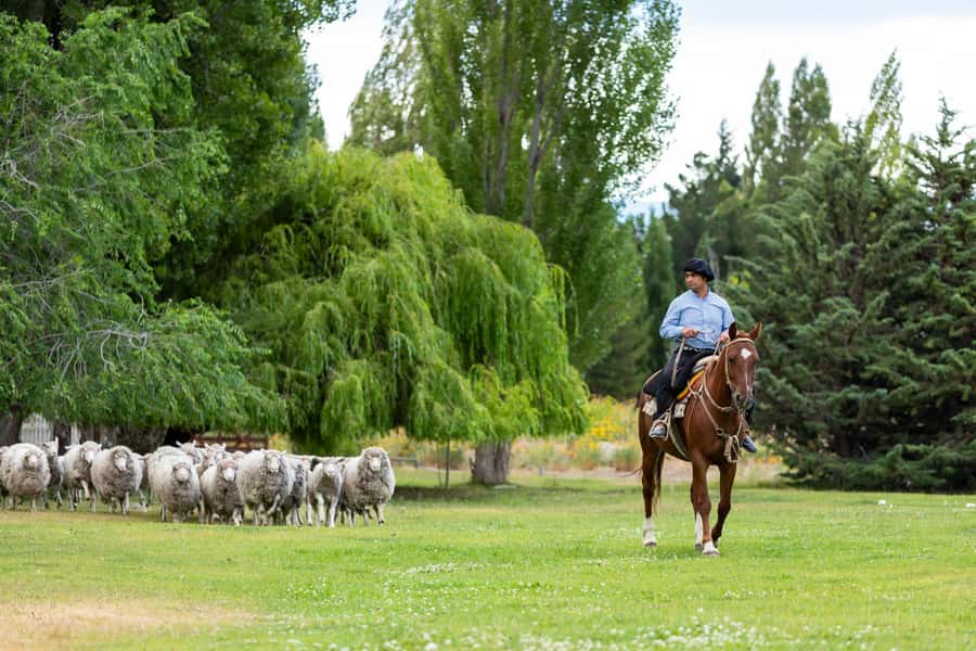 25 DE MAYO FARM - How the Experience Actually Feels: Group Visit, Cold Weather, and Footing