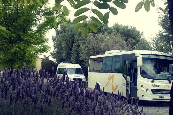 3 Days 3 Full Excursions Pack - 3 days of Salta, with a plan you can actually follow