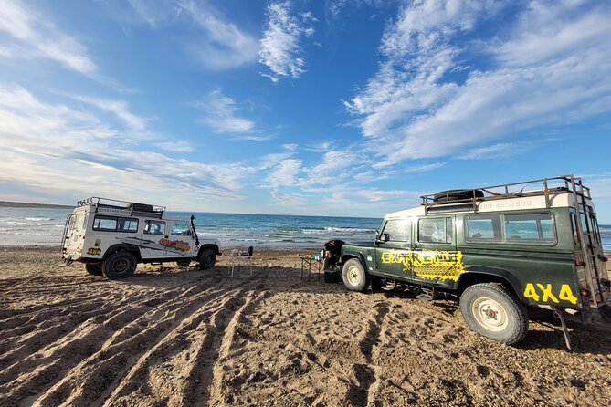3 hour 4x4 tour around Puerto Madryn - The ride quality: exciting, not comfortable, and sometimes tight