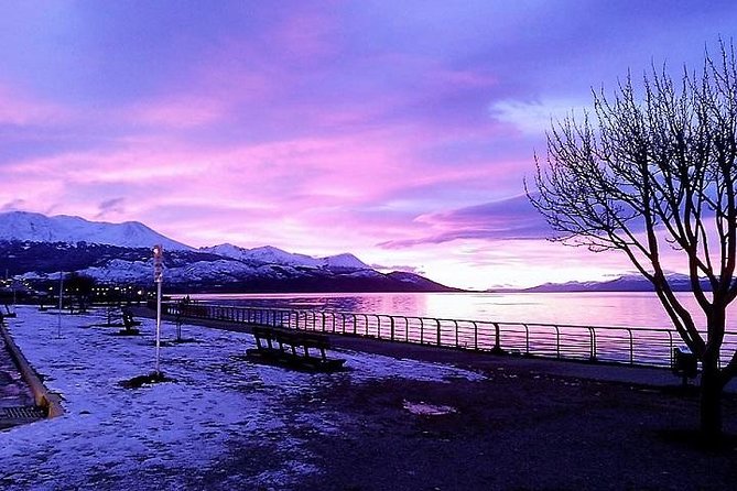 5-Hour National Park + City tour - USHUAIA (Private Tour) - Key highlights worth aiming at