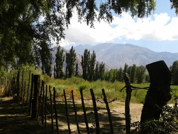 Andes Day Trip from Mendoza Including Aconcagua, Uspallata and Puente del Inca - Key Highlights Worth Getting Excited About