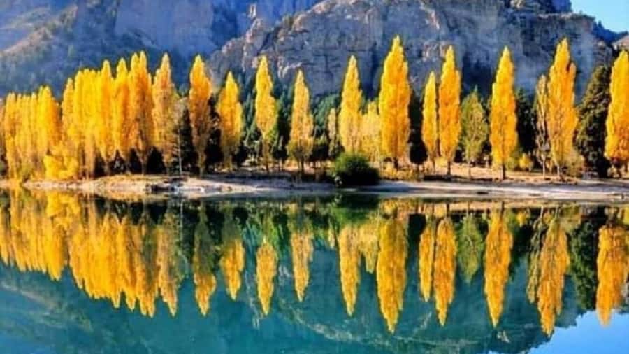 Bariloche: 7 Lakes & San Martin de Los Andes Road Trip - Key things to know before you go