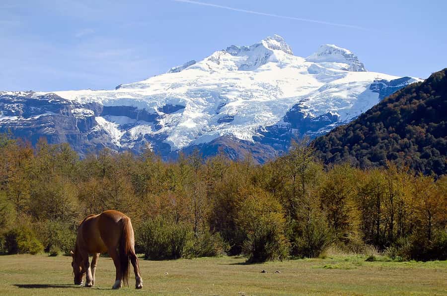 Bariloche: Cerro Tronador and Ventisquero Negro Glacier Tour - Key highlights to look for