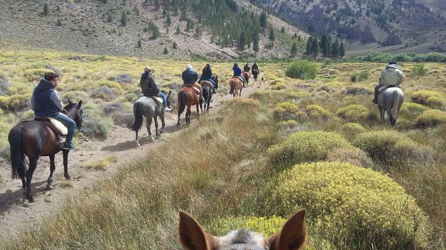 Bariloche: Guided horseback rides in the Patagonian steppe - Key highlights you will feel on this Patagonian horseback day