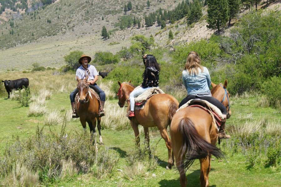 Bariloche: Guided horseback rides in the Patagonian steppe - La Estancia near Bariloche, why this is a smart Patagonia day