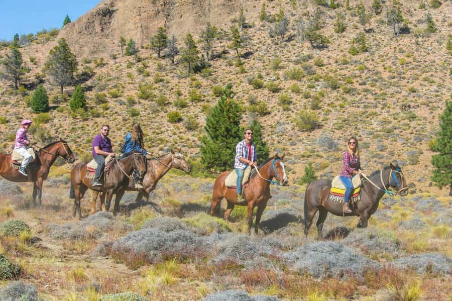 Bariloche: Guided horseback rides in the Patagonian steppe - Two hours on horseback, the Patagonian steppe is not flat