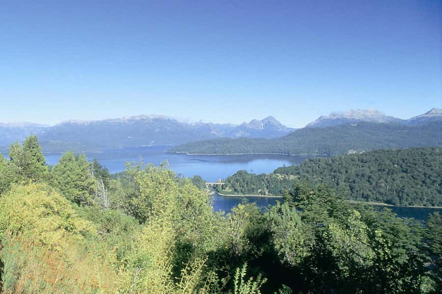 Bariloche: Half-Day Small Circuit Tour with Mount Campanario - The Drive on Av. Bustillo: Native Forests and Lake Views
