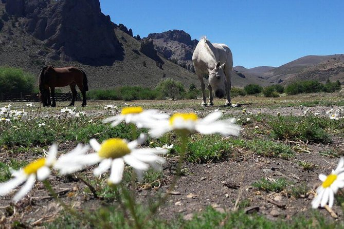 Bariloche Horseback Riding & Traditional Argentine Barbecue Tour - The coach ride and ranch-school breakfast: how the day starts