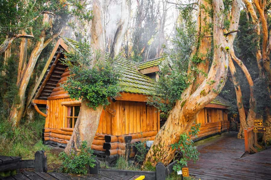 Bariloche: Victoria Island and Arrayanes Forest Navigation - Pickup to Puerto Pañuelo: the part you should not ignore