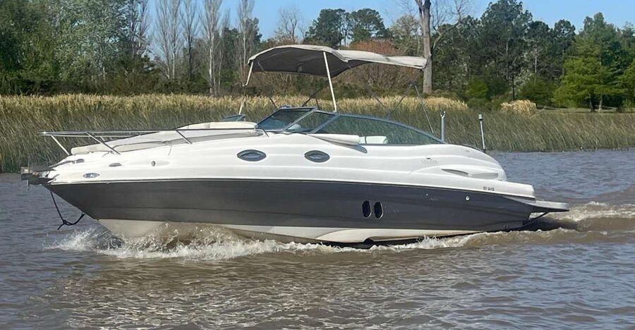 Best of Delta Buenos Aires Private Boat Tour: Enjoy More - Wildlife and historic spots: how to get more from what you see