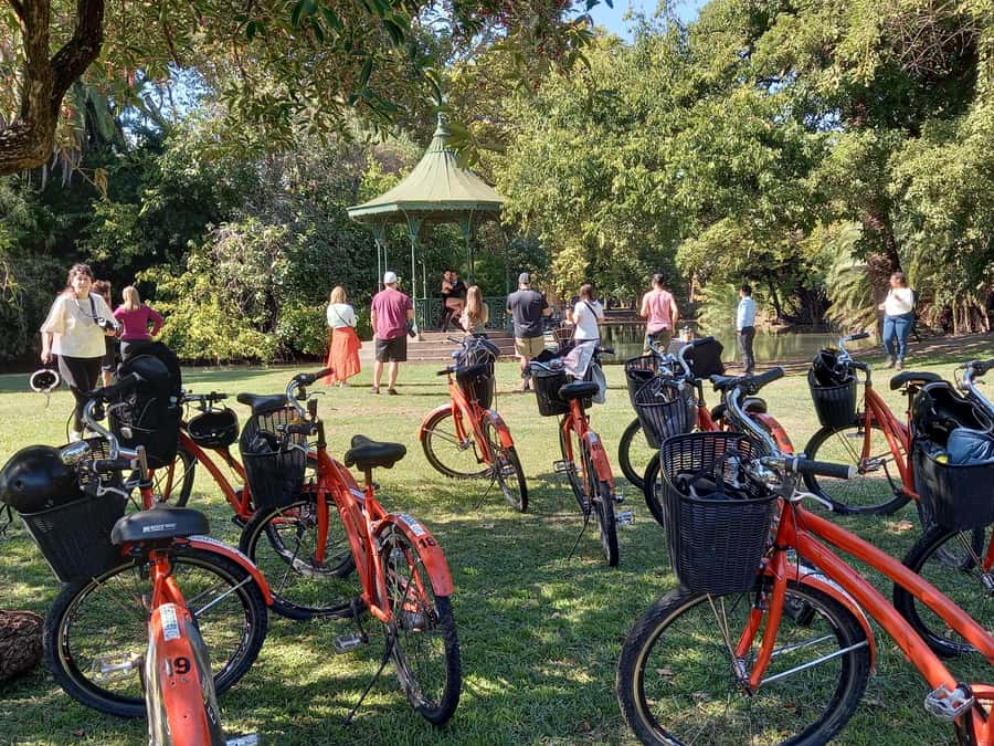 Bike Tour: Buenos Aires to the North - Cultural anchors: National Library and Fine Arts Museum stops