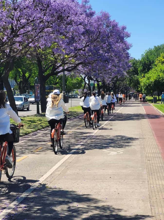 Bike Tour: Buenos Aires to the North - E-bike comfort, timing, and what to bring for Buenos Aires heat