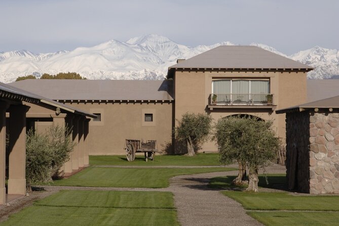 Bike Tour in Mendoza Wine Country - Mendoza Wine Country by Bike: The Hook That Makes It Worth Your Time