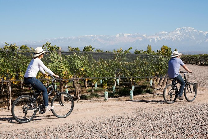 Bike Tour in Mendoza Wine Country - Price and Value: What $360 Really Buys You in Mendoza