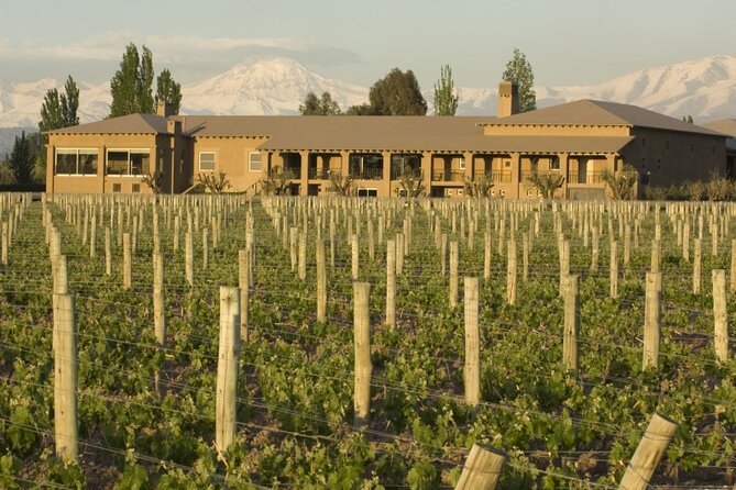 Bike Tour in Mendoza Wine Country - Bodega Vistalba: Malbec Tastings with a Strong Winery Presence