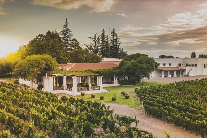Bike Tour in Mendoza Wine Country - Guides Can Make or Break It: What to Expect from Fernanda, Flavia, Stefi, and Co.