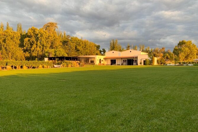 Bike Tour in Mendoza Wine Country - What to Bring: Shoes, Sun, and the Realities of a Wine Day on Wheels