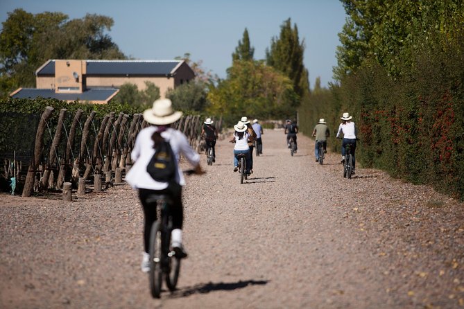 Bike Tour in Mendoza Wine Country - Morning Logistics: 8:00 am Start, Hotel Pickup, and Getting Rolling Fast