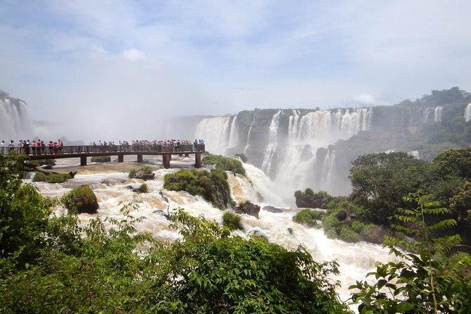 Brazilian Side of Iguazu Falls Tour from Puerto Iguazu - Price and Logistics: Is This $49 Ticket Actually Good Value?