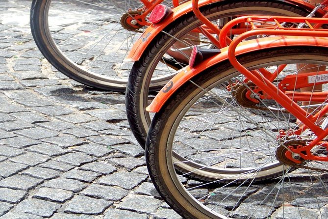 Buenos Aires Bike Tour: San Telmo and La Boca Districts - Buenos Aires Ecological Reserve: 865 acres of bird-spotting energy