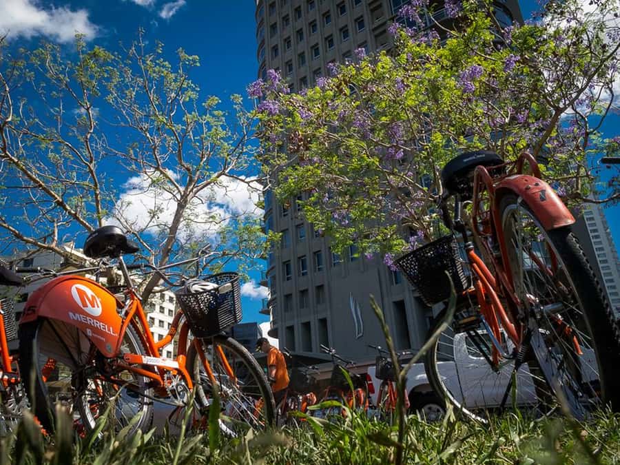 Buenos Aires Bike Tour: South or North Circuit - Key Points Before You Ride