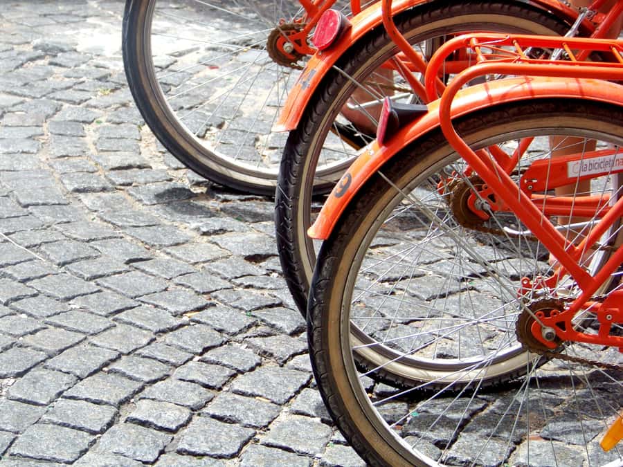 Buenos Aires Bike Tour: South or North Circuit - Value and Price: Is $50 Worth It?