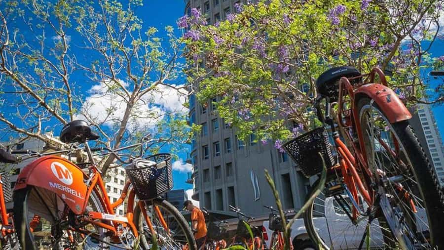 Buenos Aires Bike Tour: South or North Circuit - What to Bring, and What to Skip
