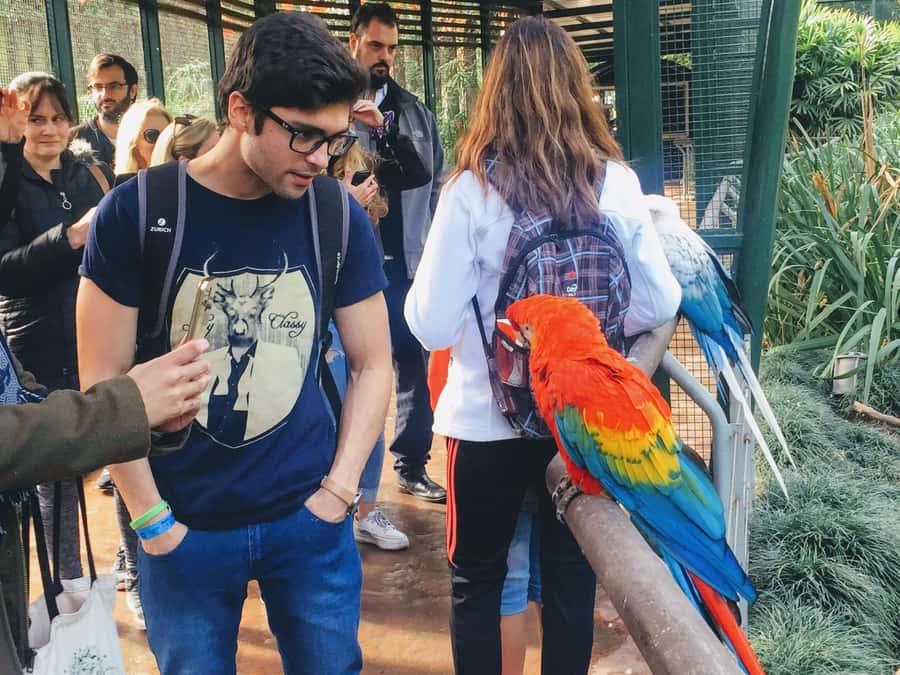 Buenos Aires: Bioparque Temaiken with Transfers - Key takeaways before you go