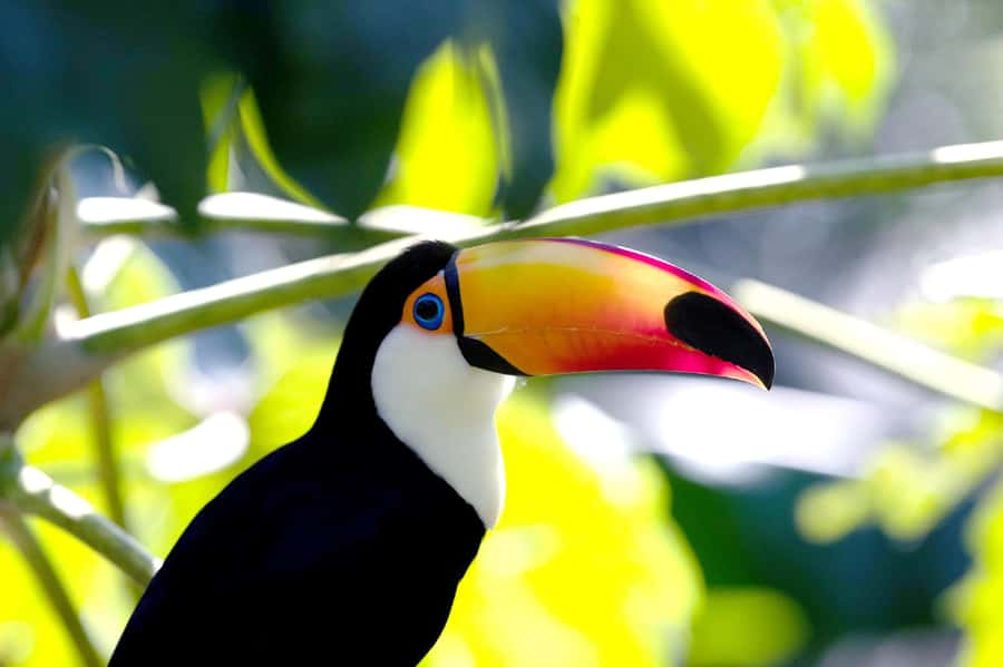 Buenos Aires: Bioparque Temaiken with Transfers - 360º cinema: a smart break from walking