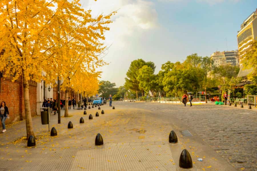 Buenos Aires: City Tour Porteno with Wine Tasting - Key things that make this tour worth your time