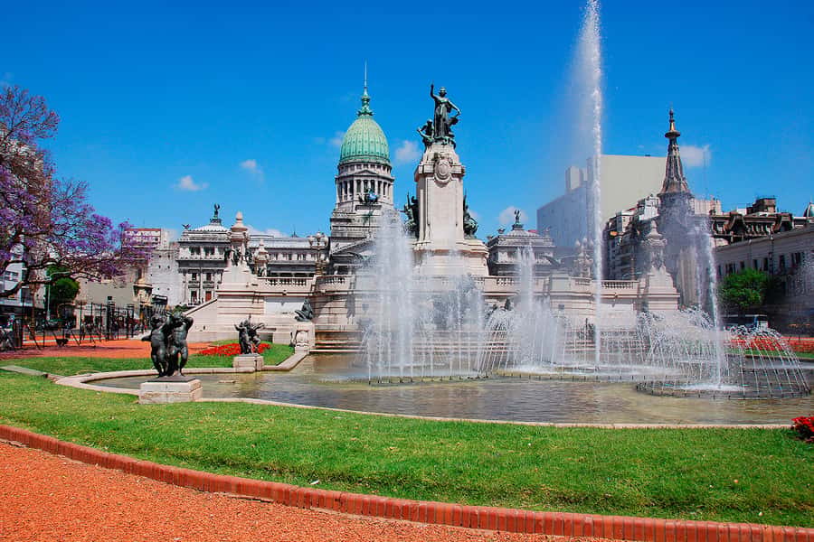 Buenos Aires City Tour with Luxury Lunch - Luxury-feel lunch, traditional Argentine meal included