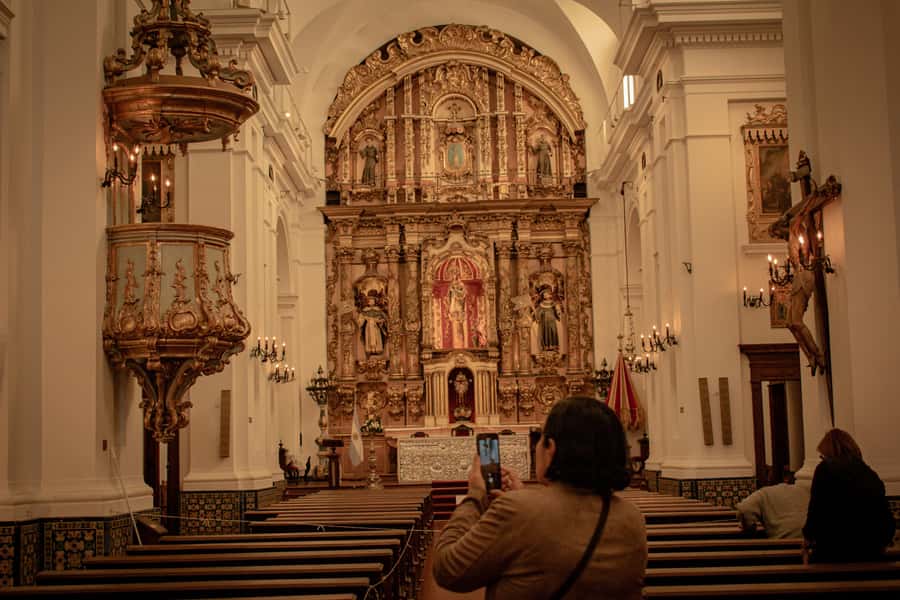 Buenos Aires: Classic Private City Tour - Palermo and the Rosedal, modern neighborhoods without racing