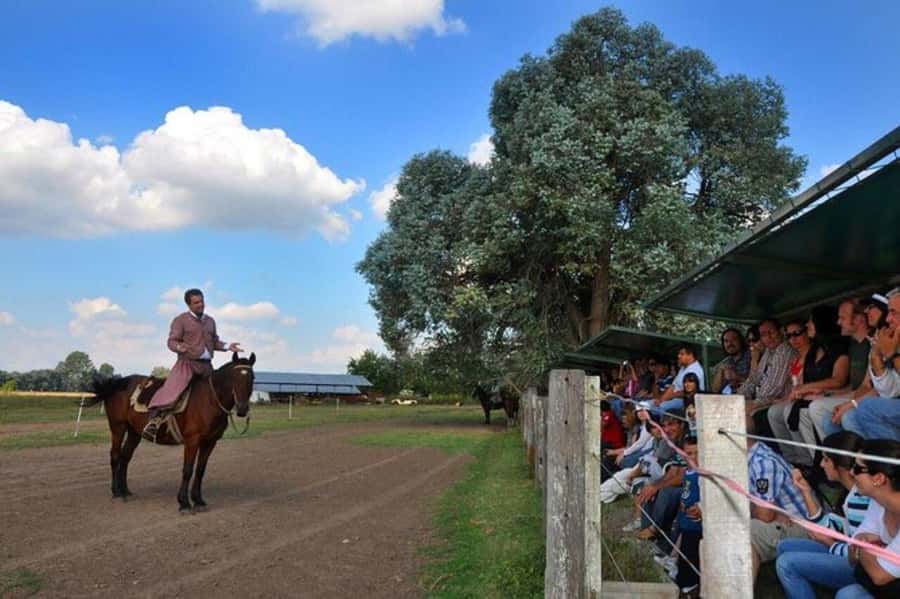 Buenos Aires: Don Silvano Ranch Gaucho Day Trip - Key things to love about Don Silvano