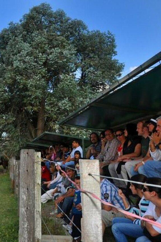 Buenos Aires: Don Silvano Ranch Gaucho Day Trip - Carriage or Tractor Rides and the Gaucho Horsemanship Finale