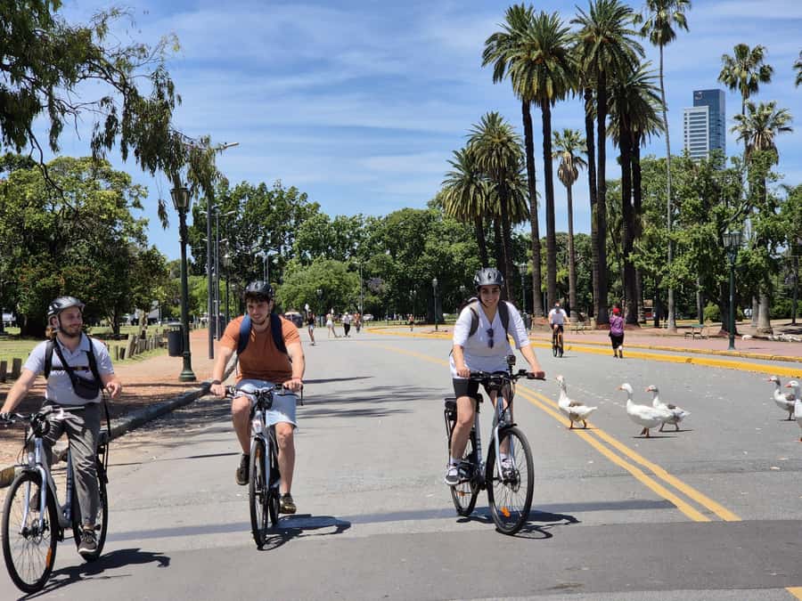 Buenos Aires: E-Bike Tour in the North Circuit of Buenos Aires - Why this north-circuit e-bike loop feels like a smart shortcut