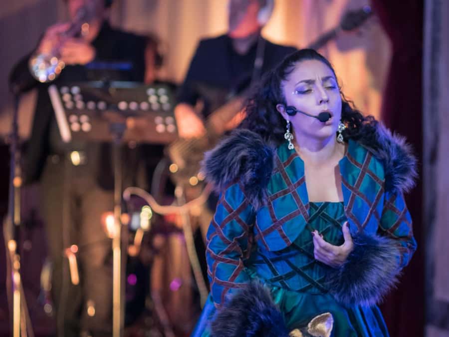Buenos Aires: Gala Lírica Tickets at Palacio Paz. - My booking advice: the practical choices that matter most