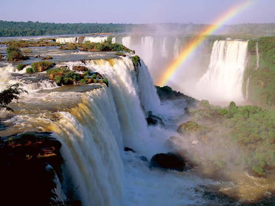 Buenos Aires: Iguazu Falls Private Day Trip with Airfare - The airport-to-park handoff that makes the day feel calm