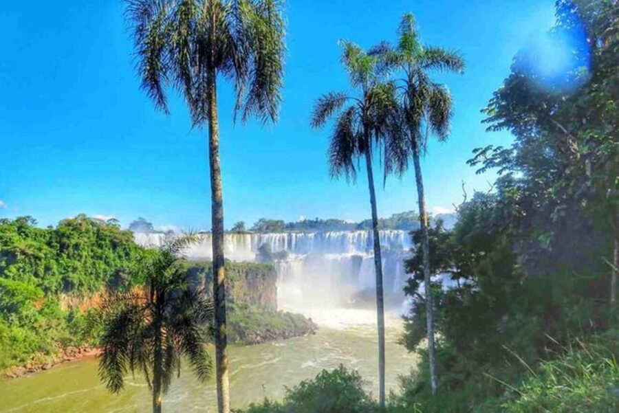 Buenos Aires: Iguazu Falls Private Tour with Flights - Jungle Wildlife, Butterflies, and Why the Guide Makes It Better