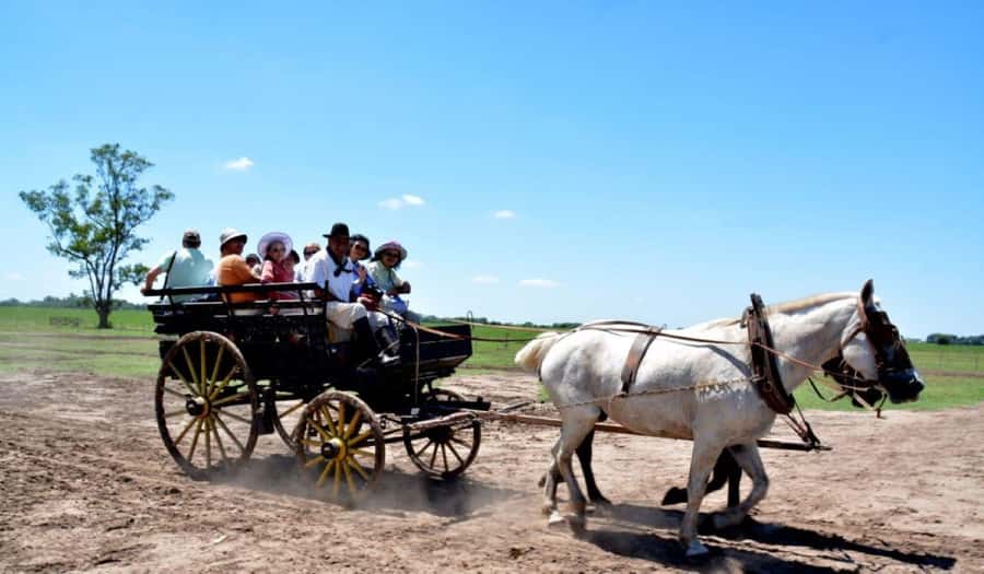 Buenos Aires: Santa Susana Ranch Day Tour, BBQ & Shows - Key Things I’d Pay Attention To