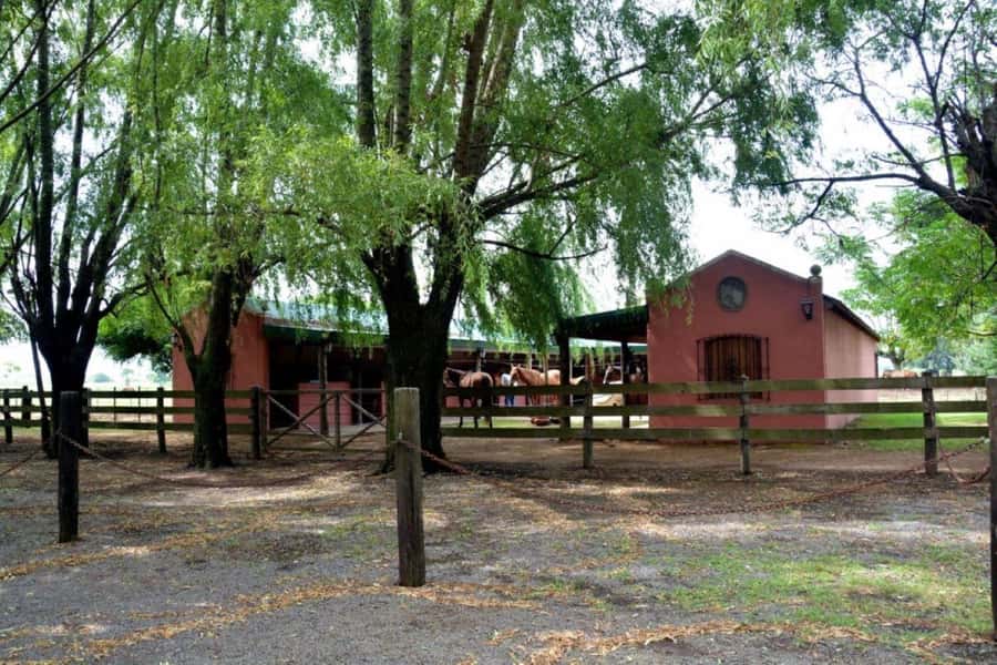 Buenos Aires: Santa Susana Ranch Day Tour, BBQ & Shows - Comfort Tips That Actually Matter on a Ranch Day Outside Buenos Aires