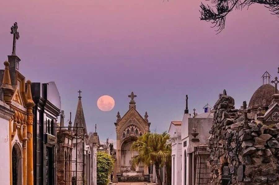 Buenos Aires: Small Group City Highlights Tour - San Telmo to Parque Lezama: tango streets, Mafalda, and Orthodox Church views