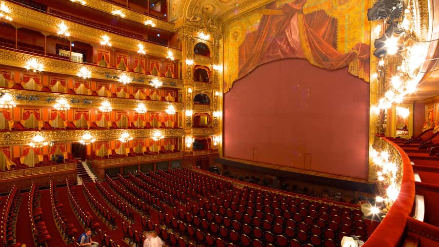 Buenos Aires: Teatro Colon Guided Tour - Your 1-hour route through the early-1900s halls