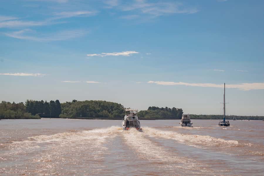 Buenos Aires: "Ticket"- 2hs of Navigation Premium to Tigre - Key things to know before you go