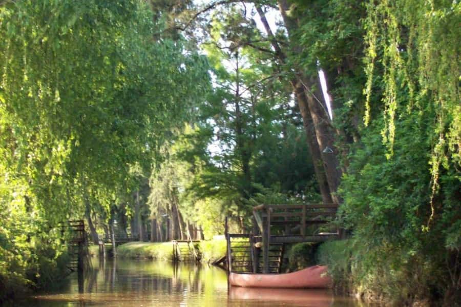 Buenos Aires: Ticket - Classic Delta of Tigre Boat Tour - The Tigre Delta Reset: Peaceful Water, Real Island Life