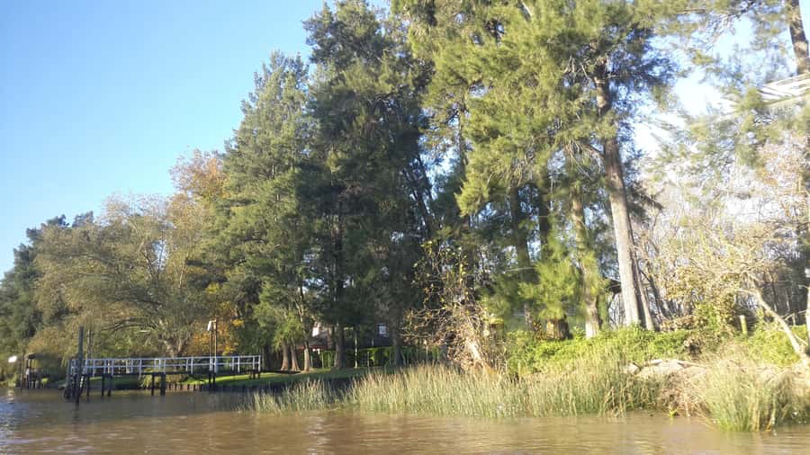 Buenos Aires: Ticket - Classic Delta of Tigre Boat Tour - Timings That Actually Work: Daily Departures From Tigre