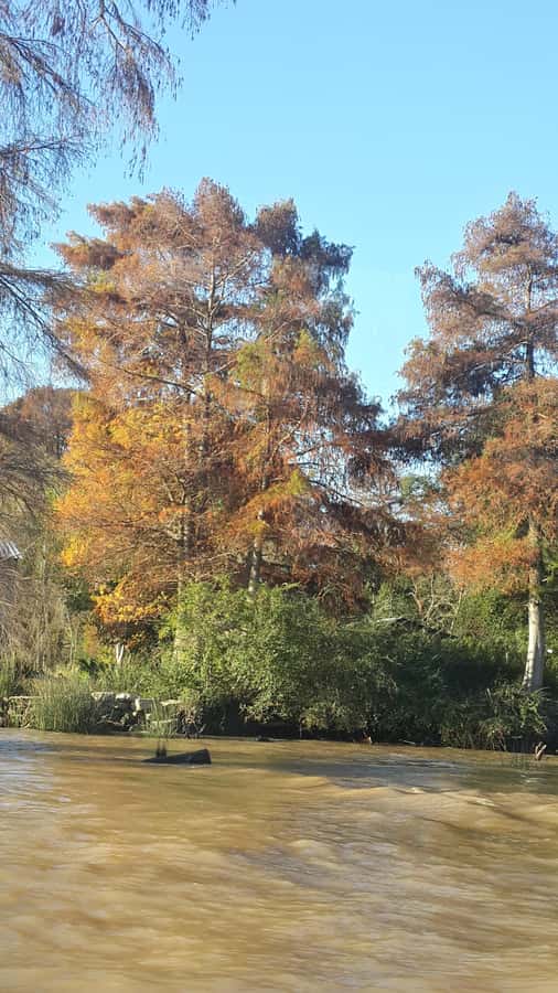 Buenos Aires: Ticket - Classic Delta of Tigre Boat Tour - Onboard Experience: Comfort, Staff, and the Spanish-then-English Narration