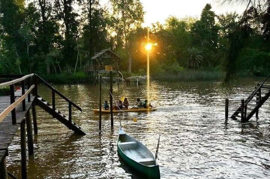 Buenos Aires: Tigre Delta Half-Day Tour with Navigation - Key highlights to look for