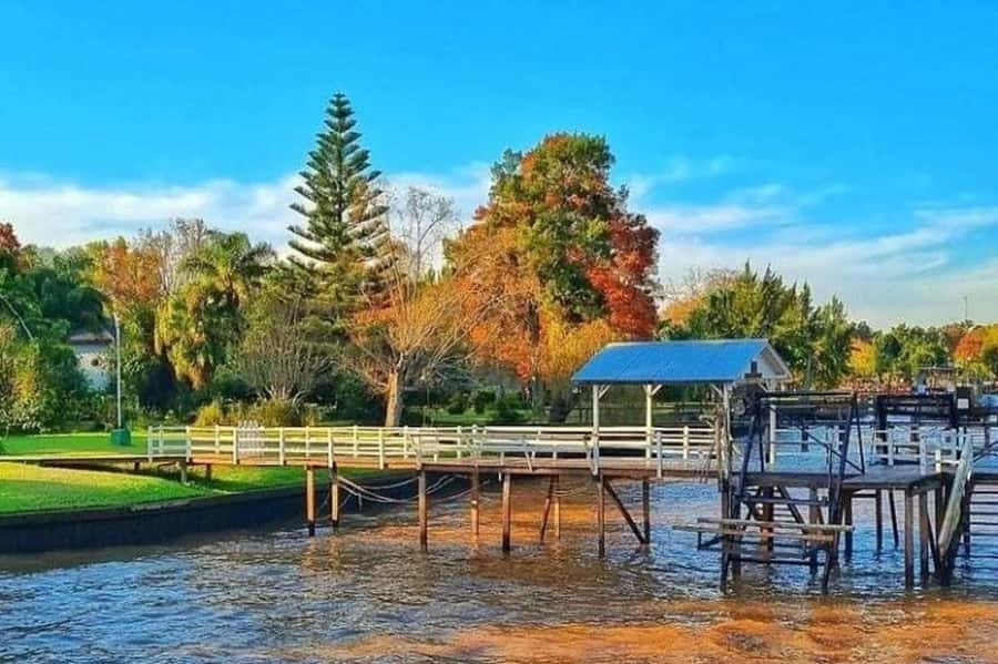 Buenos Aires: Tigre Delta Half-Day Tour with Navigation - Who this tour suits best, and who should consider another option