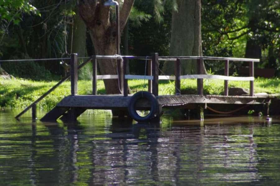 Buenos Aires: Tigre Delta Premium Boat Tour - Where your day ends: Obelisco, Galeria Pacifico, or San Telmo fair on Sundays